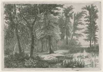 Vista al bosque con un pantano con patos de Hermanus Jan Hendrik van Rijkelijkhuysen