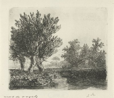 Tres sauces desmochados en un paseo marítimo de Hermanus Jan Hendrik van Rijkelijkhuysen