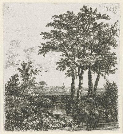 Cuatro árboles en una zanja de Hermanus Jan Hendrik van Rijkelijkhuysen