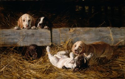 Cachorros jugando de Hermine Biedermann Arendt