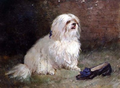 Un terrier maltés de Heywood Hardy