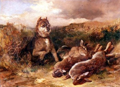 Un Terrier del Oeste con presa de Heywood Hardy