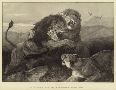 Feroz como fuegos en conflicto, el combate arde de Heywood Hardy