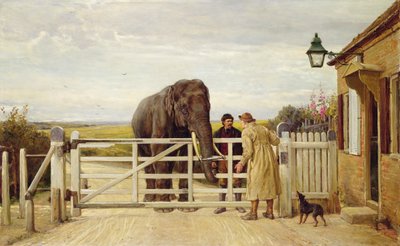 El peaje en litigio de Heywood Hardy