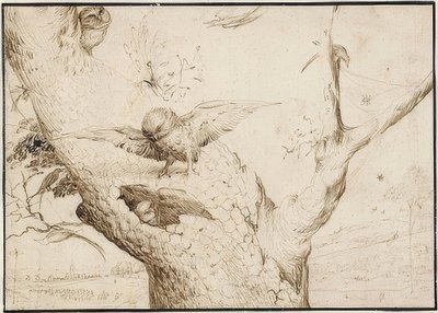 Nido de búhos, c. 1505-10 de Hieronymus Bosch