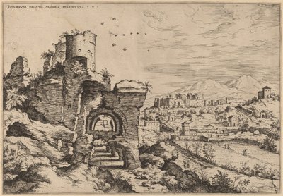 Ruinas en el Palatino, mirando hacia los Baños de Caracalla de Hieronymus Cock