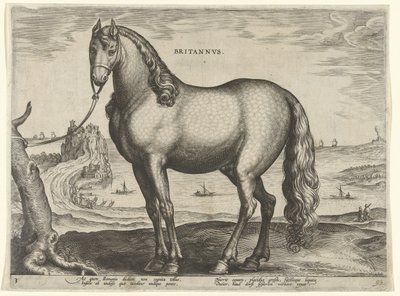 Caballo de Bretaña (Brittanus) Britannvs (título sobre objeto) Razas de caballos de las Caballerizas Reales de Don Juan de Austria (título de la serie) Equile Ioannis Austriaci Caroli (título de la serie) de Hieronymus Wierix