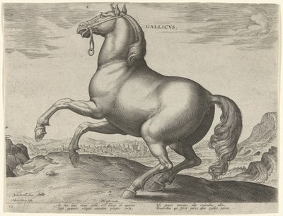 Caballo de Francia (Gallicus) Gallicvs (título sobre objeto) Razas de caballos de las Caballerizas Reales de Don Juan de Austria (título de la serie) Equile Ioannis Austriaci Caroli (título de la serie) de Hieronymus Wierix