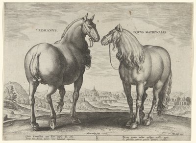 Caballo de Roma y yegua sustituta Romanvs Eqvvs Matronalis (título sobre el objeto) Razas de caballos de las Caballerizas Reales de Don Juan de Austria (título de la serie) Equile Ioannis Austriaci Caroli (título de la serie) de Hieronymus Wierix