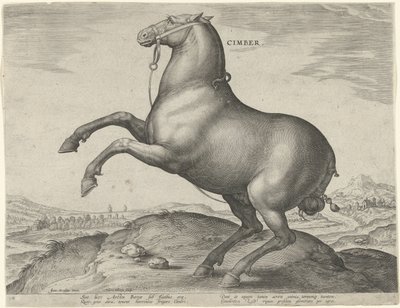 Caballo de Escitia Cimber (título sobre el objeto) Razas de caballos de las Caballerizas Reales de Don Juan de Austria (título de la serie) Equile Ioannis Austriaci Caroli (título de la serie) de Hieronymus Wierix