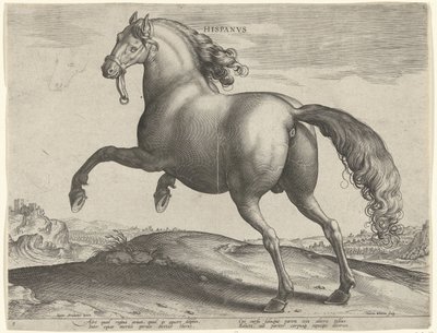 Caballo de España (Hispanus Alter) Hispanvs (título sobre objeto) Razas de caballos de las Caballerizas Reales de Don Juan de Austria (título de la serie) Equile Ioannis Austriaci Caroli (título de la serie) de Hieronymus Wierix