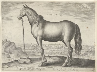 Caballo de Tesalia (Thessalus) Thessalvs (título sobre el objeto) Razas de caballos de las Caballerizas Reales de Don Juan de Austria (título de la serie) Equile Ioannis Austriaci Caroli (título de la serie) de Hieronymus Wierix