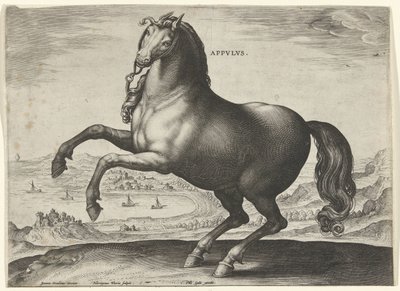 Caballo del sur de Italia (Appulus) Appvlvs (título en objeto) Razas de caballos de las Caballerizas Reales de Don Juan de Austria (título de la serie) Equile Ioannis Austriaci Caroli (título de la serie) de Hieronymus Wierix