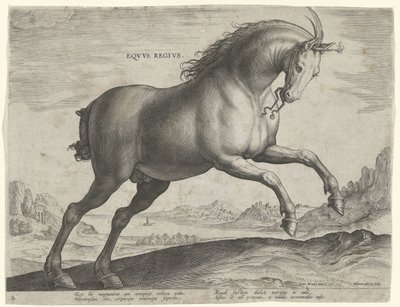 Caballo de la raza Equus Regius (el Real) Eqvvs Regivs (título en objeto) Razas de caballos de las Caballerizas Reales de Don Juan de Austria (título de la serie) Equile Ioannis Austriaci Caroli (título de la serie) de Hieronymus Wierix