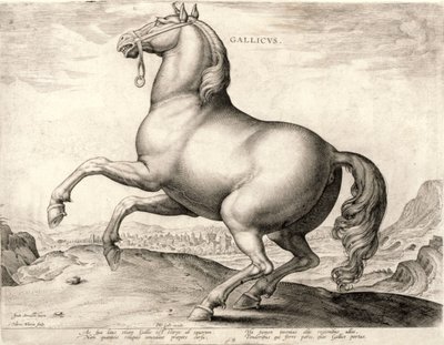 Gallicus de la serie Caballos del establo de Don Juan de Austria de Hieronymus or Jerome Wierix