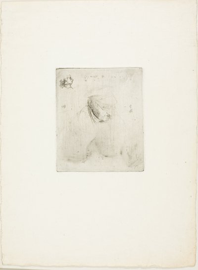 René-Hilaire De Gas, abuelo del artista de Hilaire Germain Edgar Degas