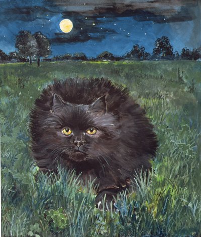 El Gato y la Luna de Hilary Jones