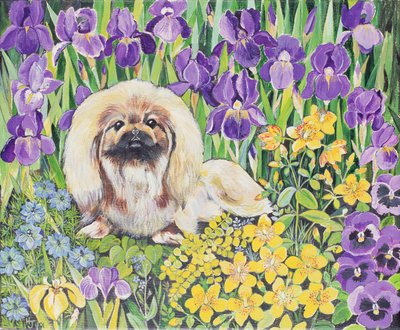 Wilma de Hilary Jones
