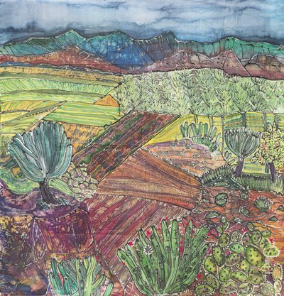 Paisaje de Oaxaca de Hilary Simon