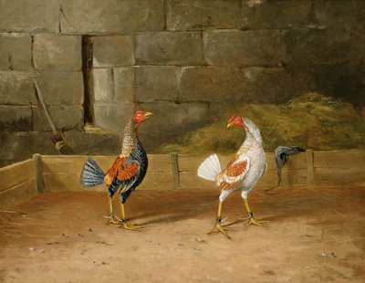 El desafío de Hilton L. Jnr. Pratt