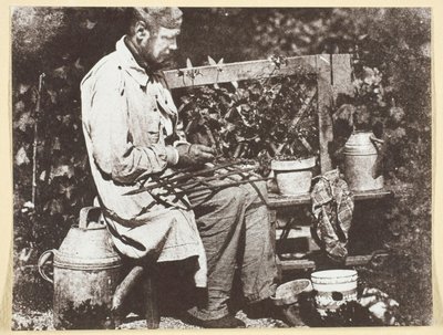 Bayard Jardinier de Hippolyte Bayard