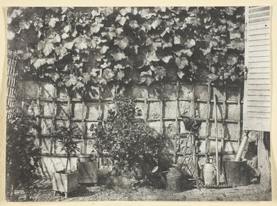 La Treille de Hippolyte Bayard