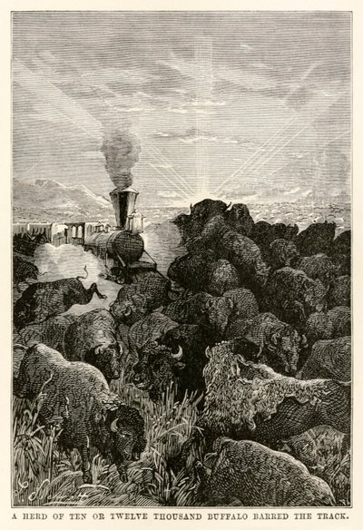 Una manada de diez o doce mil búfalos bloqueó el camino, de La vuelta al mundo en ochenta días de Julio Verne (1828-1905), grabado por Louis Prevost, 1873 de Hippolyte Leon Benett
