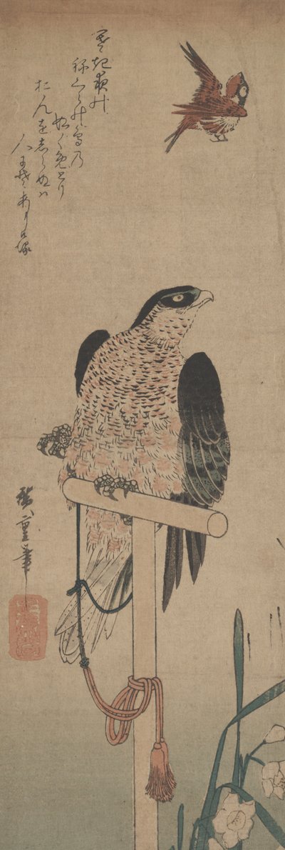 Halcón sobre percha, gorrión y narciso de Hirokage Utagawa