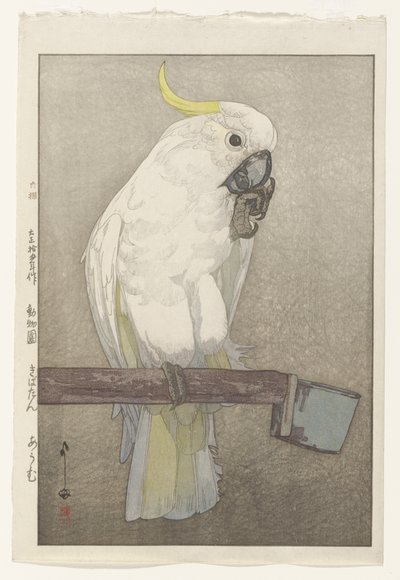 Cacatúa de cresta de azufre de Hiroshi Yoshida