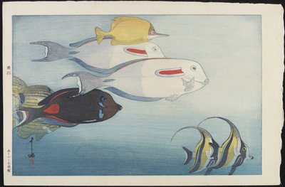 El Acuario de Honolulu de Hiroshi Yoshida