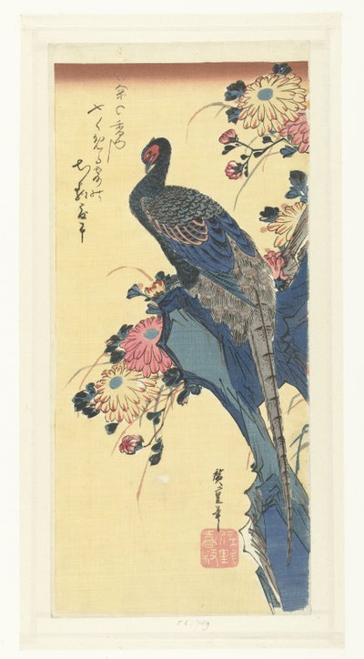 Faisán y crisantemos de Hiroshige (I) , Utagawa