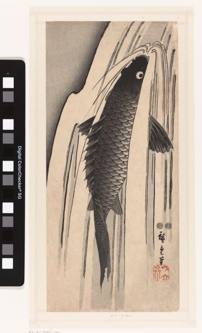 Carpa nadando contra una cascada de Hiroshige (I) , Utagawa