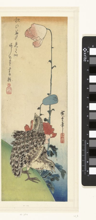Codornices y amapolas de Hiroshige (I) , Utagawa