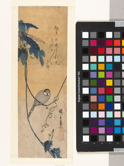 Pájaro y enredadera azul de Hiroshige (I) , Utagawa