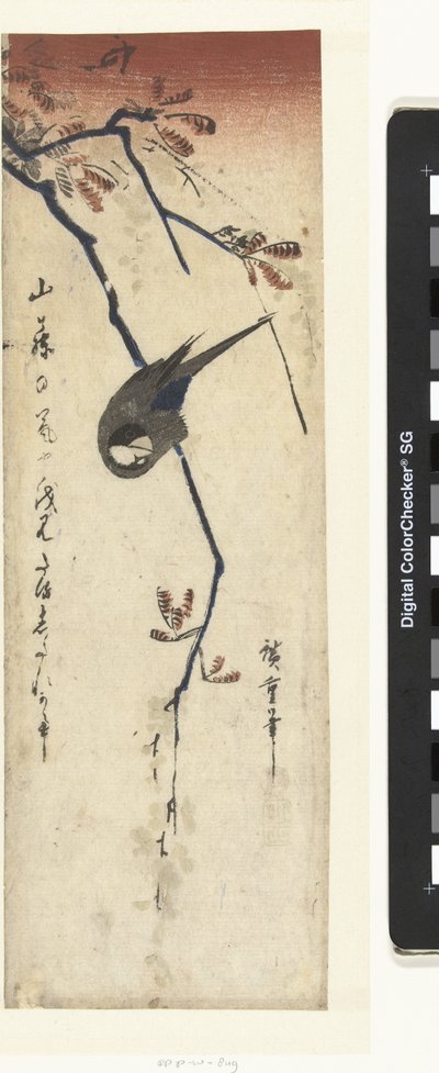 pájaro y glicina de Hiroshige (I) , Utagawa