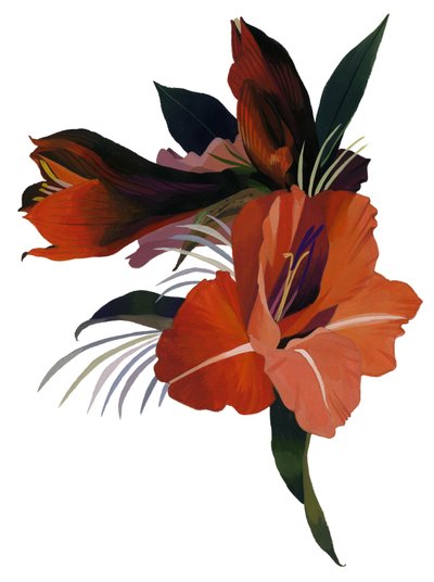 Una flor imaginaria basada en una amarilis de Hiroyuki Izutsu