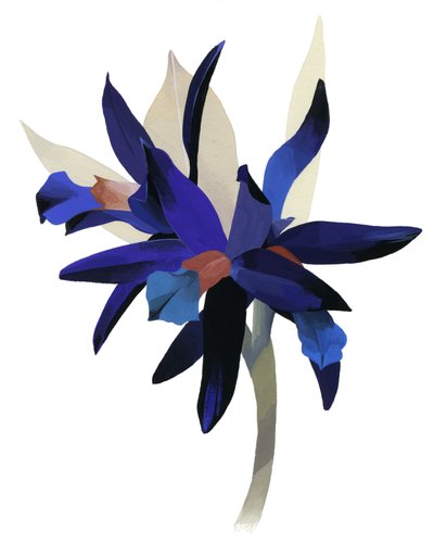 Una flor imaginaria con una base azul de Hiroyuki Izutsu