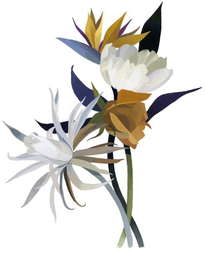 Una flor imaginaria con base blanca de Hiroyuki Izutsu
