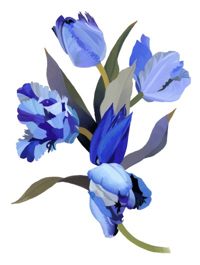 Tulipán azul de Hiroyuki Izutsu