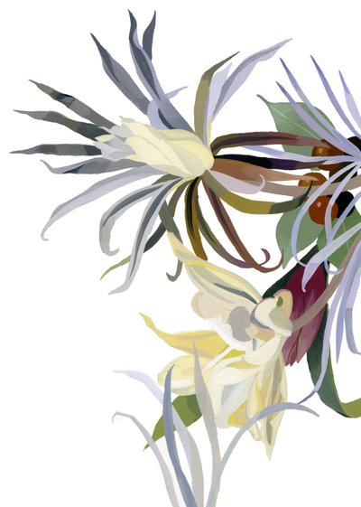 Flores elegantes, parecidas a barbas de Hiroyuki Izutsu