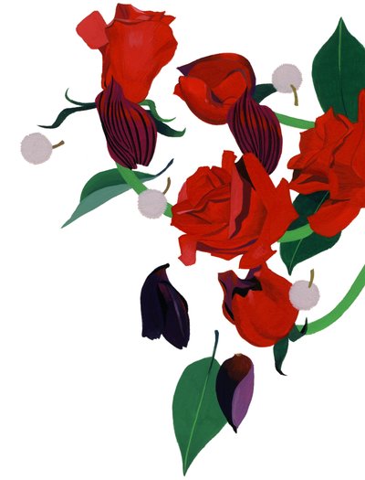 Rosa roja de Hiroyuki Izutsu