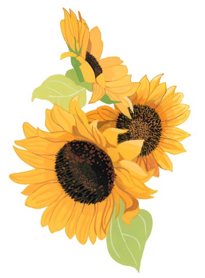Girasol de Hiroyuki Izutsu