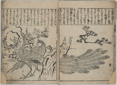Colección de flores y pájaros (Kacho zukushi) de Hishikawa Moronobu