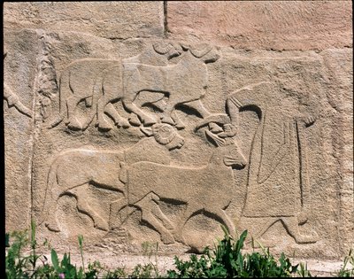Vista de la base de los relieves de la Puerta de la Esfinge de Hittite Hittite