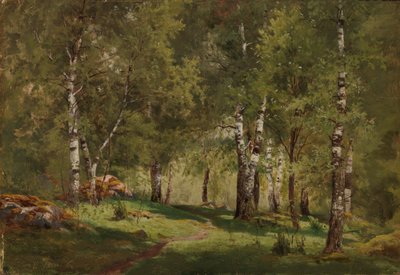  de Hjalmar Munsterhjelm