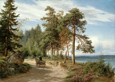 Carretera en Finlandia de Hjalmar Munsterhjelm