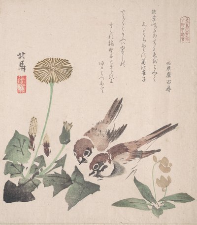 Colección de Lluvia de Primavera Harusame shu, vol. 3: Gorriones y Dientes de León, ca. 1820 de Hokuba