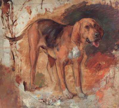 H.Hunt, Estudio de un sabueso de Holman Hunt