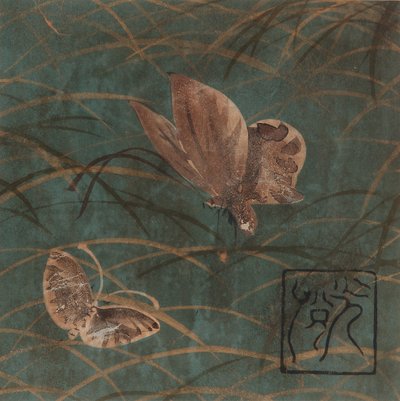 Mariposas y hierbas, período Edo, principios del siglo XVII de Hon