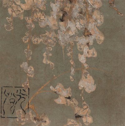 Flores de glicinia, período Edo, principios del siglo XVII de Hon